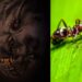 wildlife photographer, Eugenijus Kavaliauskas, submitted a demonic snapshot of an ant's face, magnified five times under a microscope, to the 2022 Nikon Small World Photomicrography Competition